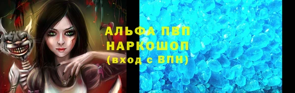 крисы Белокуриха