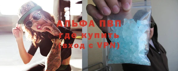 крисы Белокуриха