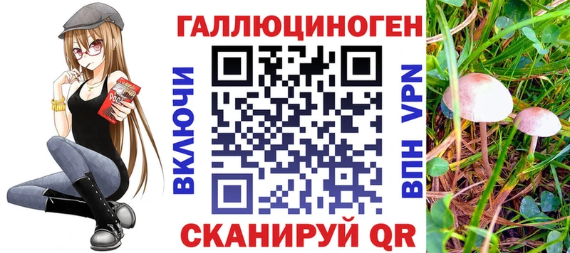 наркотики  Скопин  Псилоцибиновые грибы Magic Shrooms 